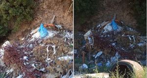 Νέα Αβόρανη: Ο Νίκος Πατερέκας για τα τα σκουπίδια και…