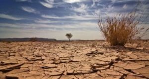 Ο.Η.Ε.: 45 εκατομμύρια άνθρωποι απειλούνται από ξηρασία στη νότια Αφρική
