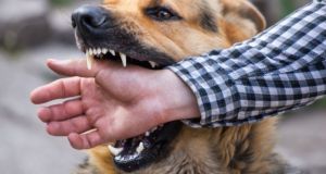 topiki-koinotita-kastrakiou-gynaika-sto-nosokomeio-meta-apo-epithesi-adespotou-skylou