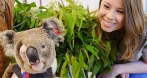 Βοήθησαν πάνω από 90.000 ζώα στην καιόμενη Αυστραλία