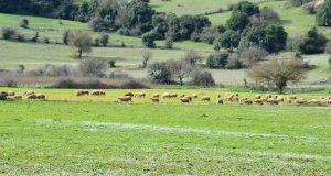 Ένωση Αγρινίου – Παράταση στα γεωργοπεριβαλλοντικά