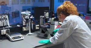 ΜΙΤ: Ερευνητές βρήκαν τα κύτταρα που στοχεύει ο θανατηφόρος ιός