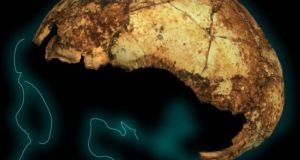 Ανακαλύφθηκε το αρχαιότερο κρανίο Homo erectus (Φωτό)