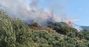 Μεσολόγγι: Καίγονται λιοστάσια στον Άγιο Θωμά