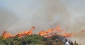 Μεσολόγγι: Έκαψε κλαδιά και έγιναν στάχτη 15 στρέμματα αγροτοδασικής έκτασης