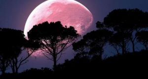 Απόψε η «ροζ» υπερπανσέληνος: Το πιο μεγάλο και φωτεινό φεγγάρι…
