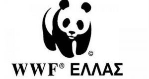 WWF: Μια ιδιαίτερη αντιπυρική περίοδος ξεκινά φέτος