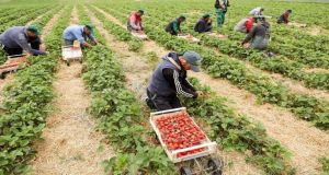 Εργάτες Γης και Έλληνες Αγρότες