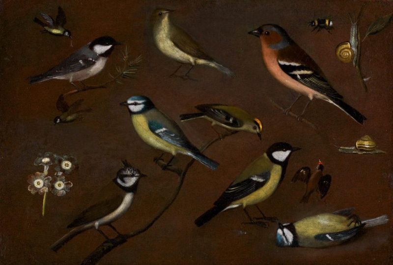 orsola maddalena caccia still life est £10000 15000 1024x691 1024x691 1