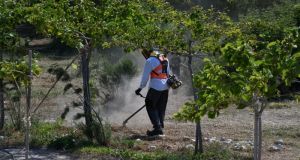 Πάτρα: Eργασίες καθαρισμού και διαμόρφωσης στο Παλατανόδασος