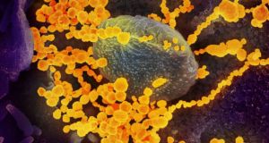 Κορωνοϊός: Ανακαλύφθηκαν 6 διαφορετικοί τύποι του ιού – Ποιοι είναι…