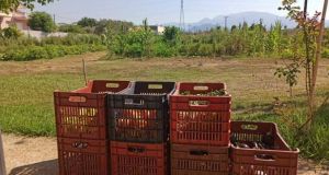 Δήμος Αγρινίου – Δημοτικός Λαχανόκηπος: Διάθεση προϊόντων