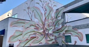 Καλιφόρνια: Ένα λουλούδι γκράφιτι «ανθίζει» στην επιφάνεια έξι τοίχων
