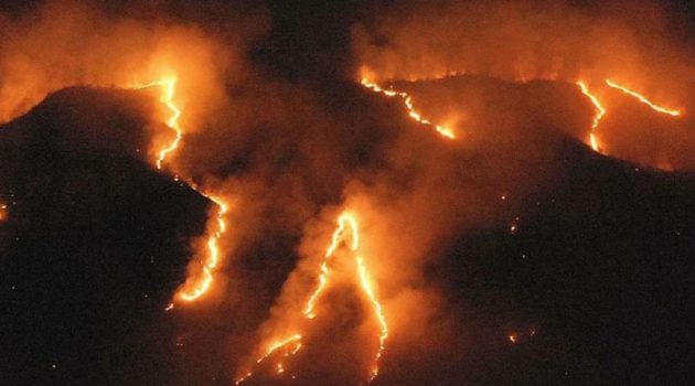 Στις φλόγες ο Αμαζόνιος – Πυρκαγιά σε Εθνικό Δρυμό στην Καλιφόρνια