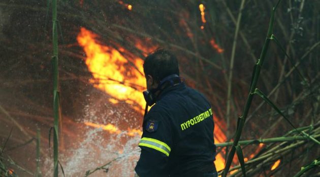 Υψηλός κίνδυνος πυρκαγιάς στη Δ. Ελλάδα την Τετάρτη