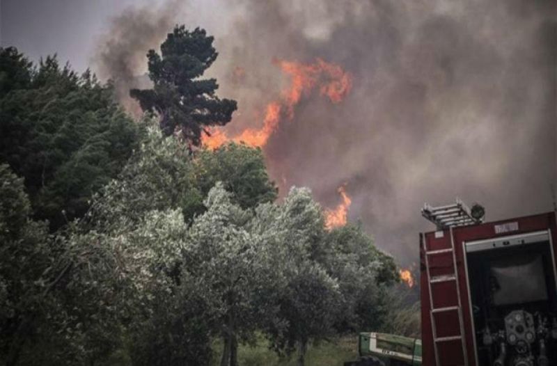 Υπό πλήρη έλεγχο η φωτιά στα Φραγκουλαίικα