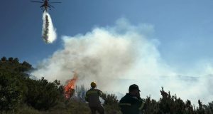 Καίγεται δασική έκταση στο Παραδείσι Αιτωλοακαρνανίας