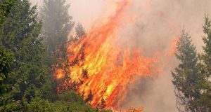 Απειλούνται σπίτια από τη φωτιά στην Ηλεία – Ζητήθηκε εκκένωση