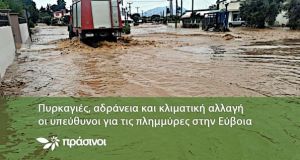 «Πράσινοι»: Πυρκαγιές, αδράνεια και κλιματική αλλαγή…