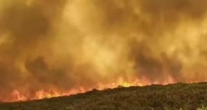 Πυρκαγιά στη Μάνη: Συνεχίζεται για 2η ημέρα η «μάχη» με…