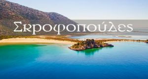 Βίντεο – αφιέρωμα στη Μεγάλη και μικρή Σκροφοπούλα