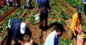 Μεσολόγγι: Συνελήφθη άνδρας για ληστείες σε βάρος αλλοδαπών εργατών γης