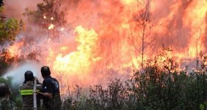 Καινούργιο Αγρινίου: Δύο φωτιές ταυτόχρονα τα μεσάνυχτα κινητοποίησαν την Π.Υ.