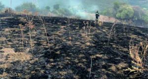 Αμφιλοχία: Κάηκαν 15 στρέμματα χορτολιβαδικής έκτασης