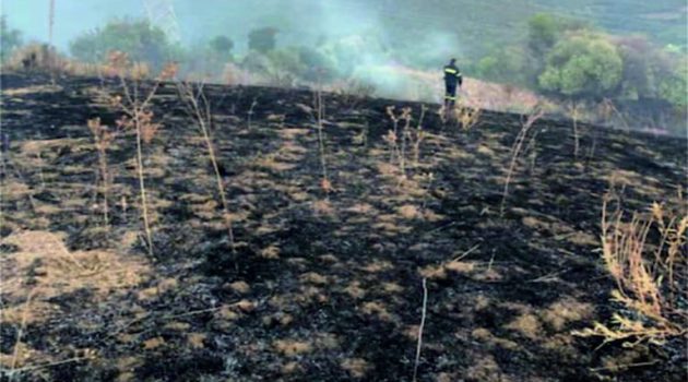 Αμφιλοχία: Κάηκαν 15 στρέμματα χορτολιβαδικής έκτασης
