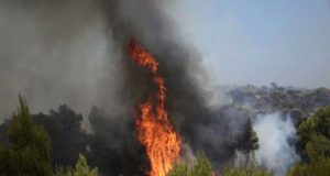 Φωτιά στα Όχθια, έκαψε είκοσι στρέμματα αγροτικών εκτάσεων