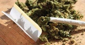 Νεαρός από το Αγρίνιο συνελήφθη το μεσημέρι της 13ης Σεπτεμβρίου καθώς αποδείχθηκε, μετά από έρευνα, πως έκρυβε ναρκωτικά στο σπίτι του