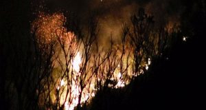 Φωτιά στην Πάτρα – Απειλήθηκαν σπίτια στα Συχαινά