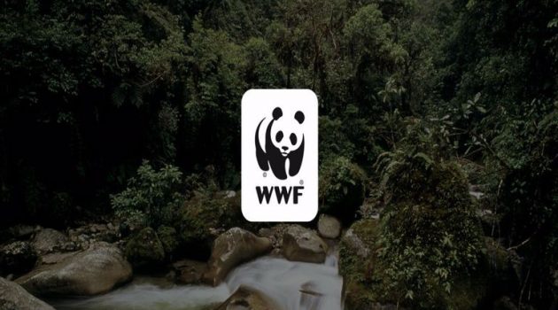 WWF: «Η φύση καταρρέει: 68% μείωση πληθυσμών άγριας ζωής από το 1970»