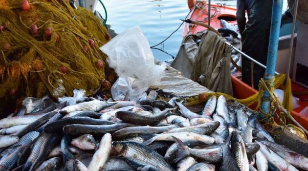 Τουλάχιστον 3.000.000 ευρώ «έρχονται» για τους αλιείς