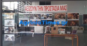 Η Φιλοζωική Οργάνωση Αγρινίου πραγματοποιεί bazaar για τα αδέσποτα ζώα (Photos)