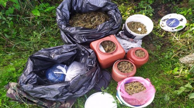 Συνελήφθη άνδρας στην Ηλεία για καλλιέργεια και κατοχή ναρκωτικών