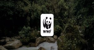 WWF: Πράσινο πακέτο ανάκαμψης για άνοιγμα θέσεων εργασίας στην Ελλάδα