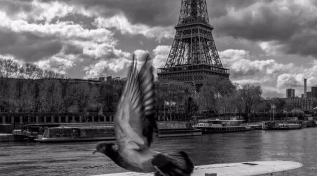 Με φωτογραφία του Νίκου Αλιάγα η ευχετήρια κάρτα για το 2021 της Δημάρχου του Παρισιού