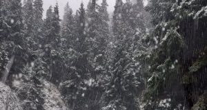 Έπεσαν τα πρώτα χιόνια στην Ορεινή Ναυπακτία (Photos)