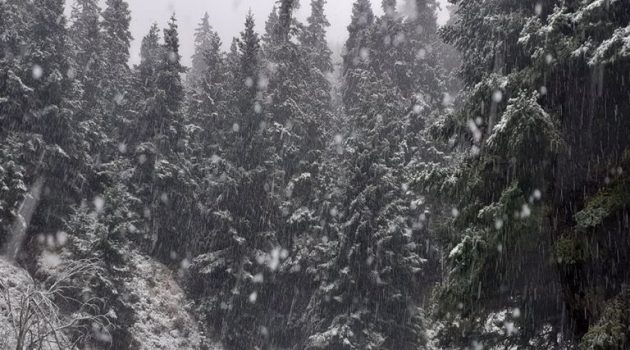 Έπεσαν τα πρώτα χιόνια στην Ορεινή Ναυπακτία (Photos)