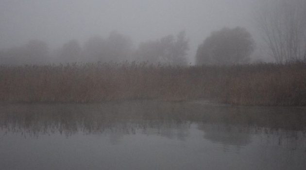 Ομίχλη στην Τριχωνίδα (Photos)