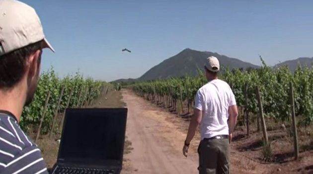 Η συμβολή των ΣμηΕΑ (drones) στην αναβάθμιση του αγροτικού τομέα