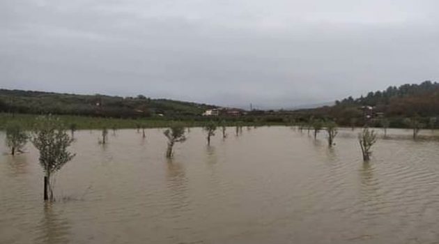 Πλημμύρισαν πολλά χωράφια σε χωριά της Αμφιλοχίας (Photos)