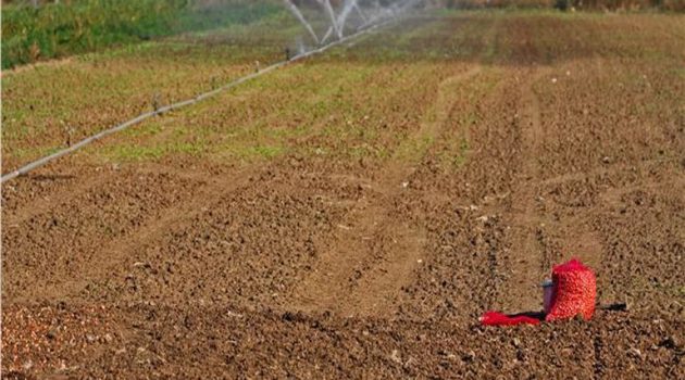 Κτήμα Νεοχωρίου: Αναβάλλεται για 4 Μαρτίου η δημοπρασία αγροτεμαχίων