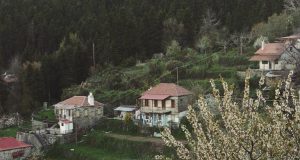 Ελατού: Ένα χωριό μέσα στα έλατα στην Ορεινή Ναυπακτία (Video)