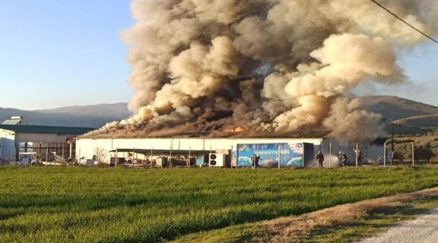 Σε εκατοντάδες χιλιάδες ευρώ η ζημιά από φωτιά στις εγκαταστάσεις του «Υφαντή» στα Τρίκαλα