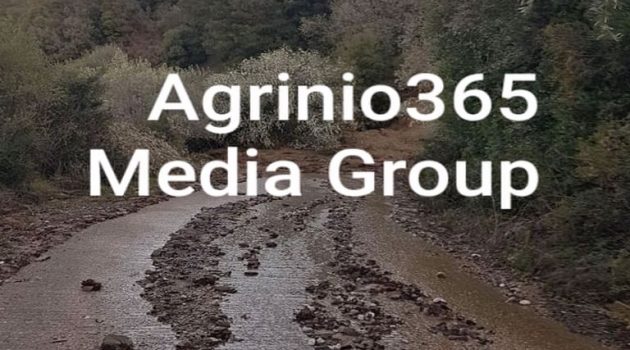Αγρίνιο: Τεράστιες οι ζημιές στις ελαιοκαλλιέργειες στον Π. Δήμο Παναιτωλικού (Video – Photos)