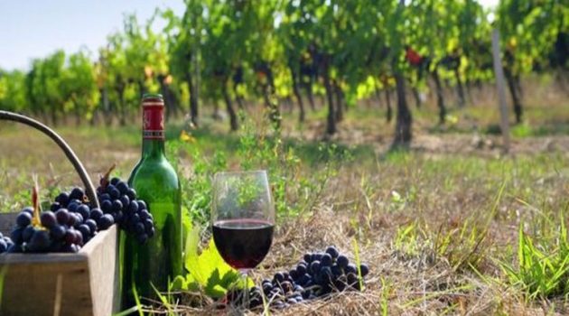 Παράταση αιτήσεων επιστροφής ή διαγραφής Ειδικού Φόρου Κατανάλωσης κρασιού
