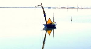 Σταφνοκάρι στη Λιμνοθάλασσα του Μεσολογγίου (Photo)
