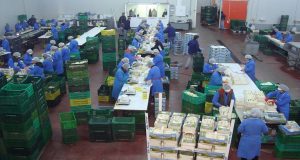 Α.Σ. Νεάπολης: Πρόσληψη εργατών στο Συσκευαστήριο σπαραγγιών